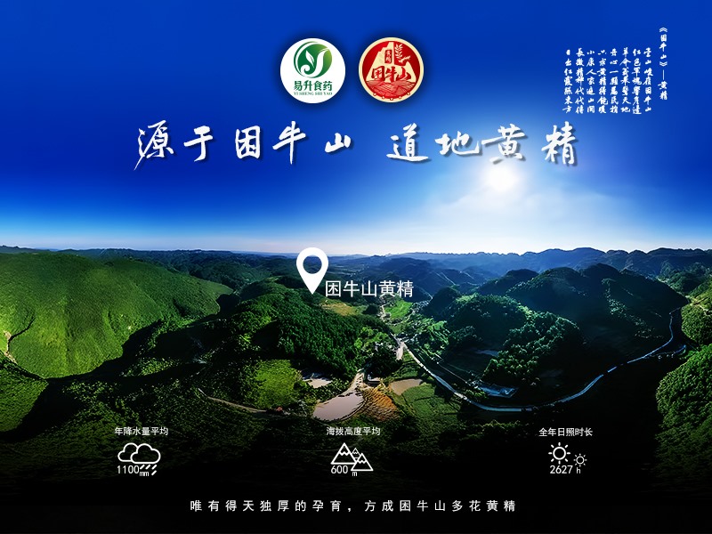 石阡困牛山林下种植基地