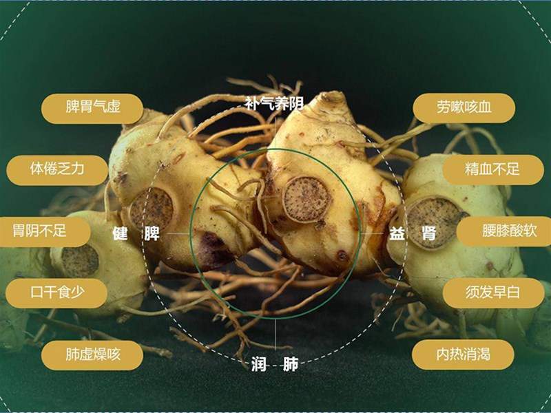 黄精的主要成分？