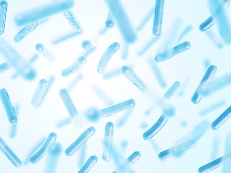 什么是益生菌？